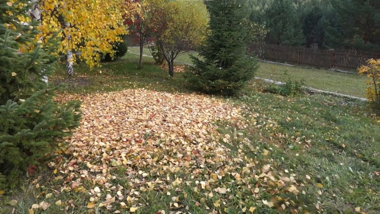 https://krasnodar.mslandshaft.ru/storage/app/uploads/public/642/ac5/f22/642ac5f2293e2935715739.jpg
